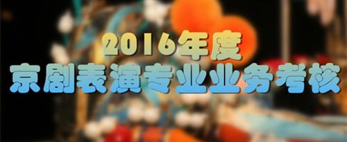 啊啊啊啊欧美好大麻豆剧情国家京剧院2016年度京剧表演专业业务考...